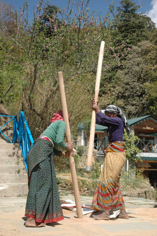 Hand-pounding rice